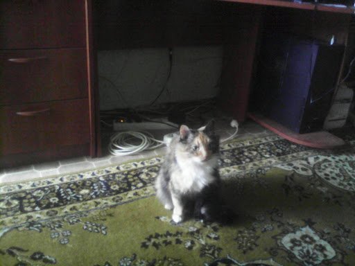 BMW E28 con BMW Styling 104 con BMW Styling 104